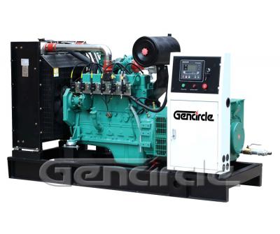 Biogas Generator Set